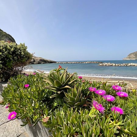 Casa Francesco Seaside Apartment Sant'Angelo  Exterior photo